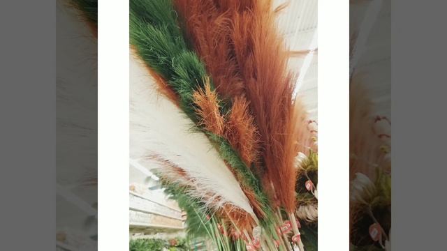 Relaxing Thrift With Me for Cozy Home Decor Finds #thrifthaul #thrifting #cottagecore смотреть онлайн