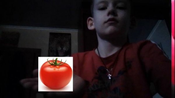 @CHEL-oficial - песня про помидор