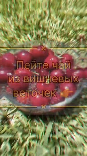 Пейте чай из вишневых веточек 😨 #зож #народнаямедицина #полезныесоветы #медицина #здоровье #shorts