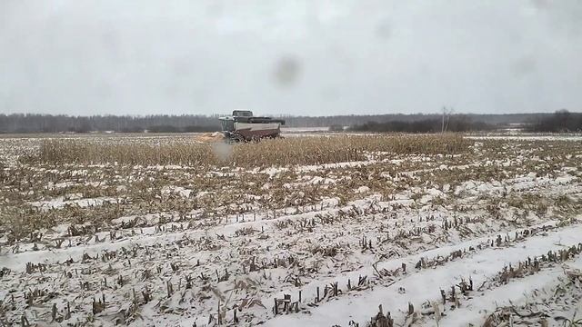 последний день уборки кукурузы. смотреть онлайн