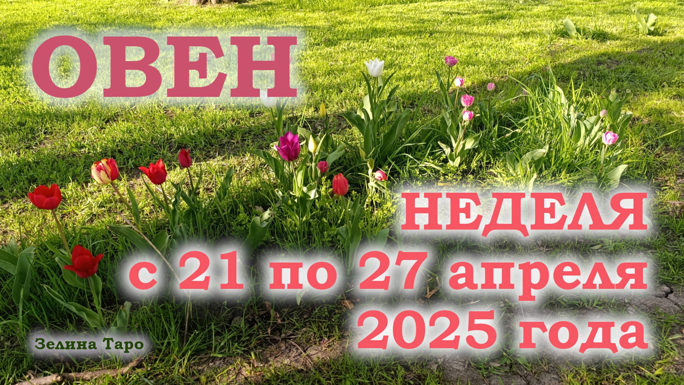 ОВЕН | ТАРО прогноз на неделю с 21 по 27 апреля 2025 года