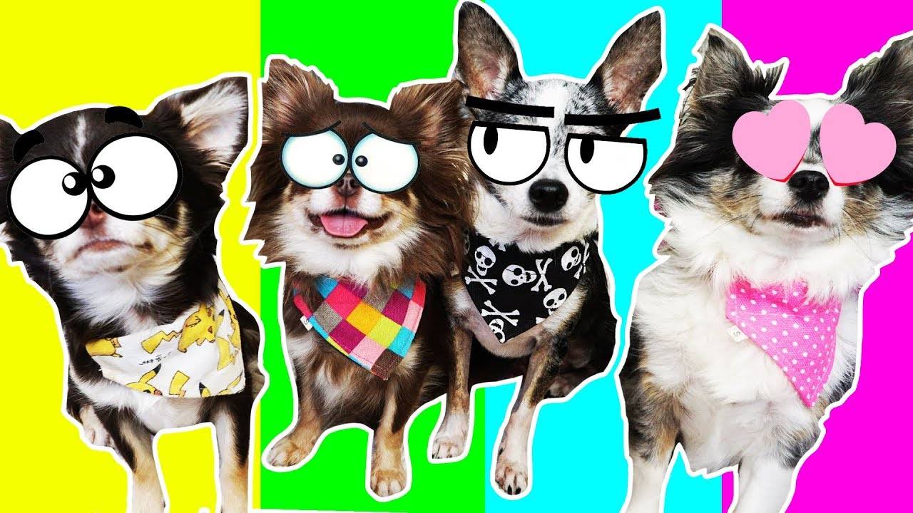 Ссоры, любовь и логопед — у кого из героев день пошёл не по плану? 💔🎓 смотреть онлайн