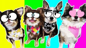 Ссоры, любовь и логопед — у кого из героев день пошёл не по плану? 💔🎓