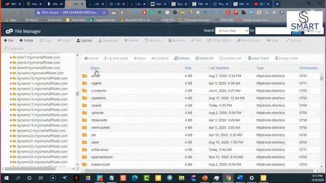 SMART Affiliate Program - Hosting/cPanel/Websites/Themes & Plugins