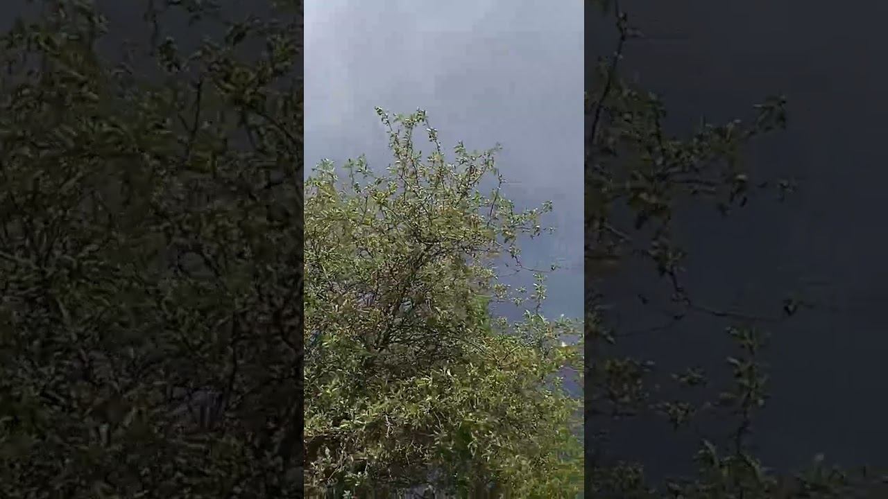 Первый гром ⛈️ смотреть онлайн