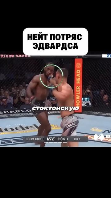 Нейт потряс Эдвардса #мма #mma #попмма смотреть онлайн