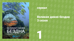 Великая дикая бездна 3 сезон 1 серия «Секреты Манты» (документальный сериал, 2020)