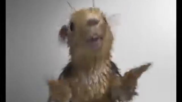 Вы еще бухаете смотреть онлайн