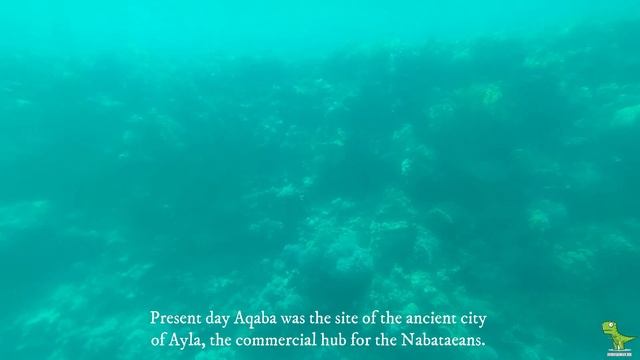 Gulf of Aqaba | Red Sea, Aqaba, Jordan смотреть онлайн