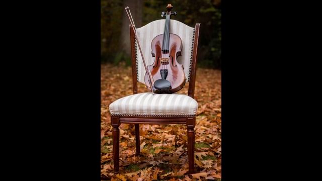 [Classical Music] Dvorak - Serenade for Strings E Major [larghetto] смотреть онлайн
