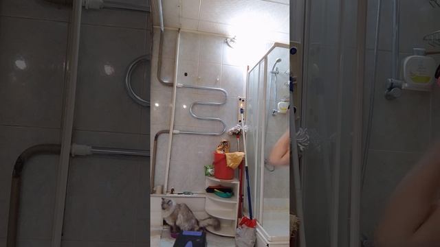 21 января 2024 г.