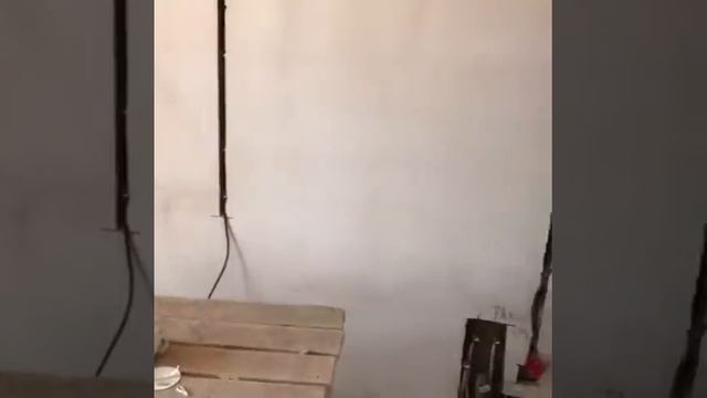 Спб смотреть онлайн