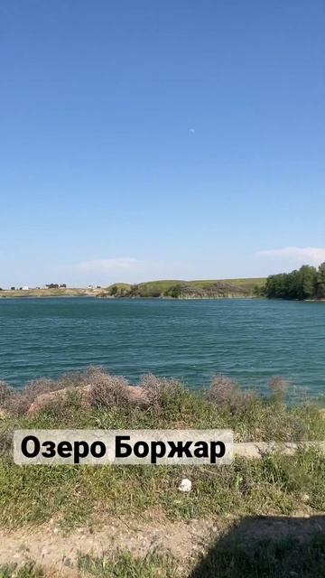 Озеро Боржар. шымкент казахстан туркестанскаяобласть озеро рыбалка рыба природа