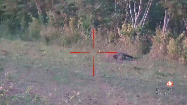 ATN смотреть онлайн