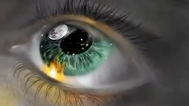 Dikaja volcica смотреть онлайн