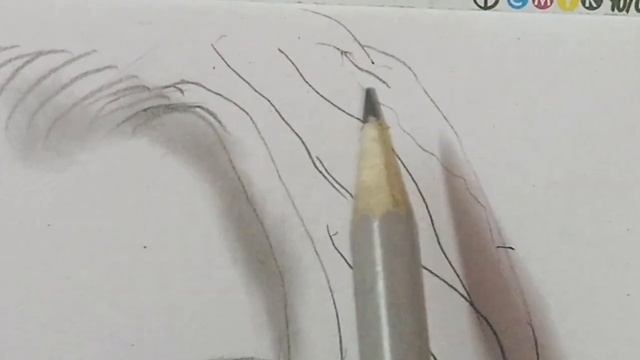 Trish Talia/ Sketch/the Model Sketch L By Foxy Art