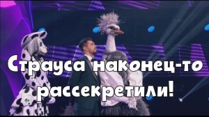 Кто был под маской Страуса в 11 выпуске шоу Маска?