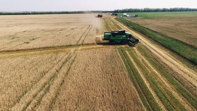 Сравнительные тесты комбайнов DEUTZ-FAHR, Massey Ferguson, New Holland смотреть онлайн