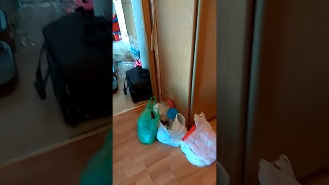 "Магическая уборка" .День 3. смотреть онлайн
