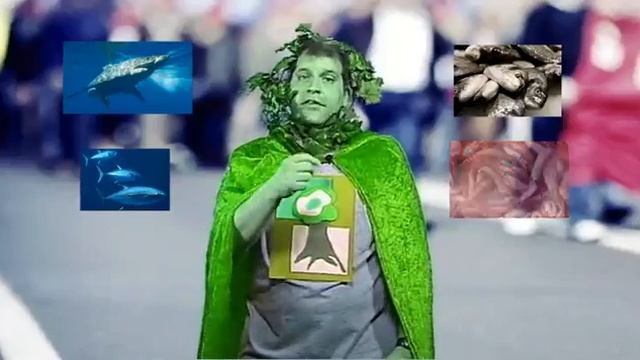 Role Of Plans In Food Chain