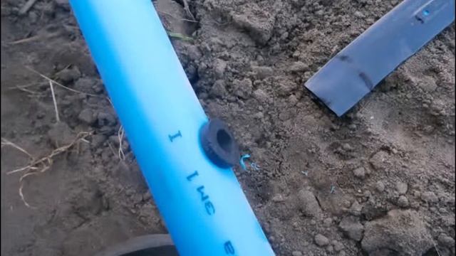клубника смотреть онлайн