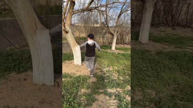 ВЛОГ: Ибо загородом / британские кошки / самолеты / огород смотреть онлайн