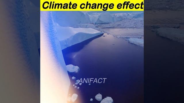 Climate Change के प्रभाव के बारे में जानकर हैरान रह जाओगे😱|| #Shorts #ANIFACT #viralvideo #facts