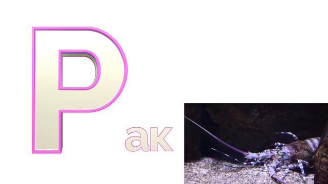 буква р рак