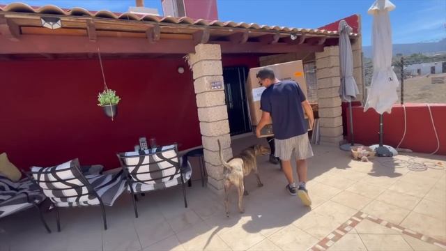 OH NO! Not The Kitchen As Well!