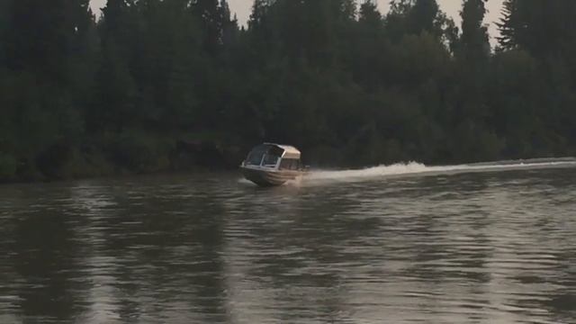 Remote Off Grid Alaskan Log Cabin Build pt 4 stacking logs