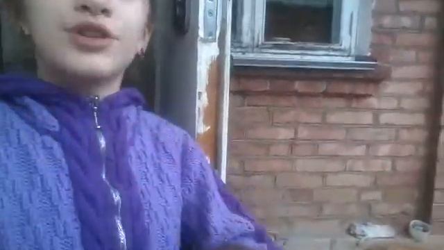 Мой новый канал про животных