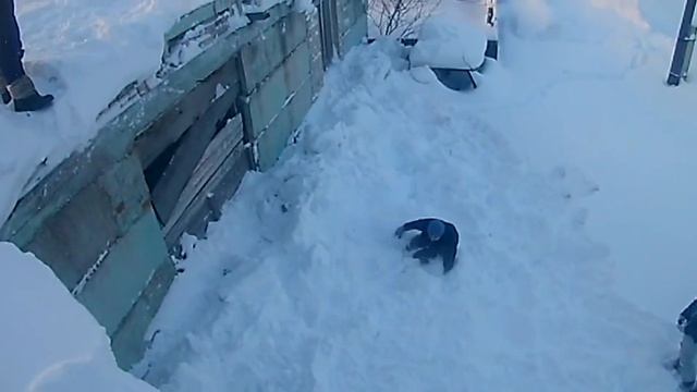 БУМ-ХЕД-ШОТ!упал с крыши !!! смотреть онлайн