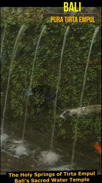 HOLY WATER Of BALI-Tirta Empul Temple-Gending Bali For Spa Music And Relaxing Nature Sounds- Part #
