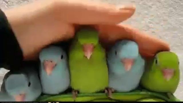 1. Илья 2.дима 3.вадим 4.рома 5.кирилл