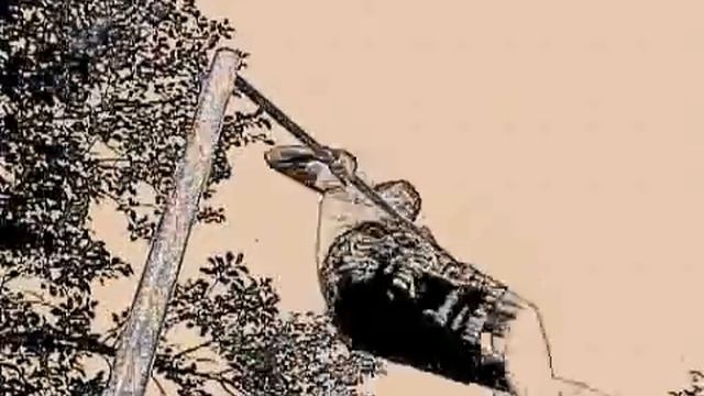 Самые легкие элементы на турнике от Димы смотреть онлайн