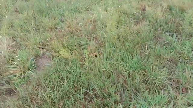 ДИСКОВКА ЦІЛИНИ. ДОНФЕНГ 244. БОМЕТ 1.5 м. смотреть онлайн