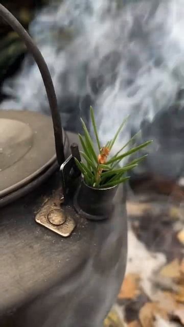 🪵 #nature #hiking #cookingvideo #поход #походвыходногодня