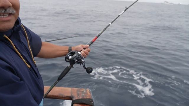 Tuna & Yellowtail on the Pride смотреть онлайн