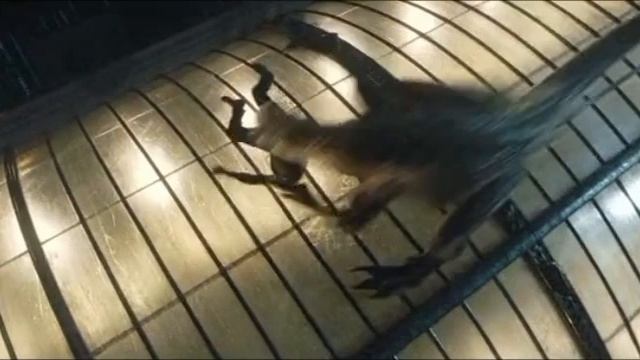 клип про велоцираптора Блю и индораптора🔥🔥🔥 смотреть онлайн