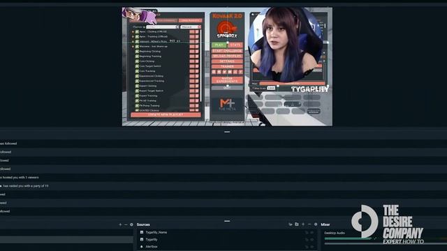How-To Modify Your Camera View in Streamlabs | Esports Gamer Tygarlily смотреть онлайн