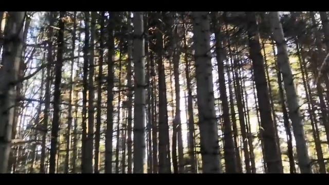 Прогулка в ботаническом саду Ставрополь смотреть онлайн