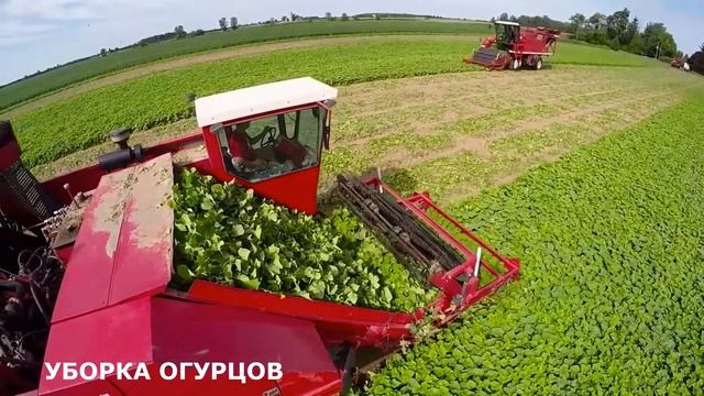 Необычные МАШИНИ для сбора УРОЖАЯ смотреть онлайн