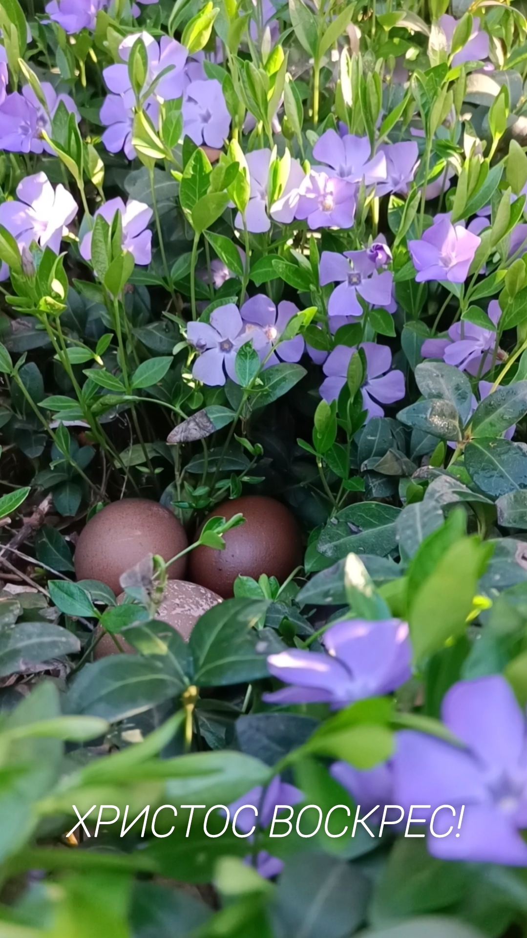 Христос Воскрес! 🌷🌷🌷Удивительная находка! смотреть онлайн