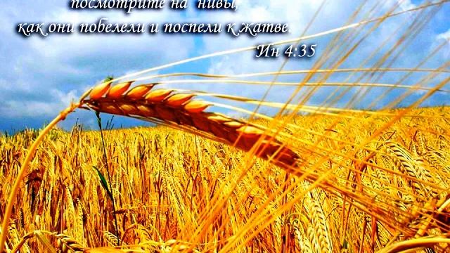 Новые нивы -060_Радиопередача из ФРГ г Гуммерсбах Golos Mira 30 05 2019 смотреть онлайн