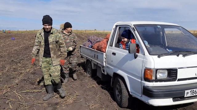 Уборка картофеля 2021. смотреть онлайн