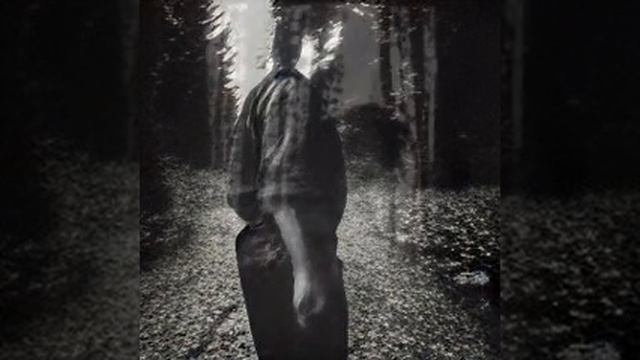 Виктор Цой - Музыка волн смотреть онлайн