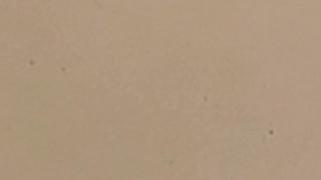 Как сделать перчатки 