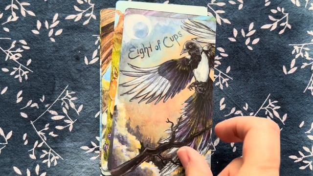 Animism Tarot - Borderless Edition смотреть онлайн
