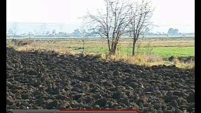 Как развить свекловодство смотреть онлайн