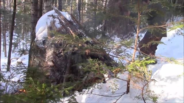 Winter Camping- No tent, No sleeping bag. 12 °F Natural shelter- Bushcraft /Survival Skills смотреть онлайн